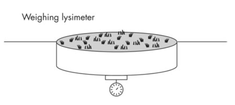 A weighing lysimeter sitting flush with the surface. The cylinder is filled with soil and vegetation similar to the surroundings. lysimeter