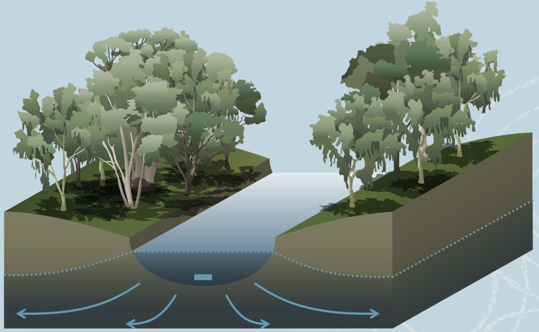 From wetlands to aquifers, we will explore the principles of groundwater flow. Wetland