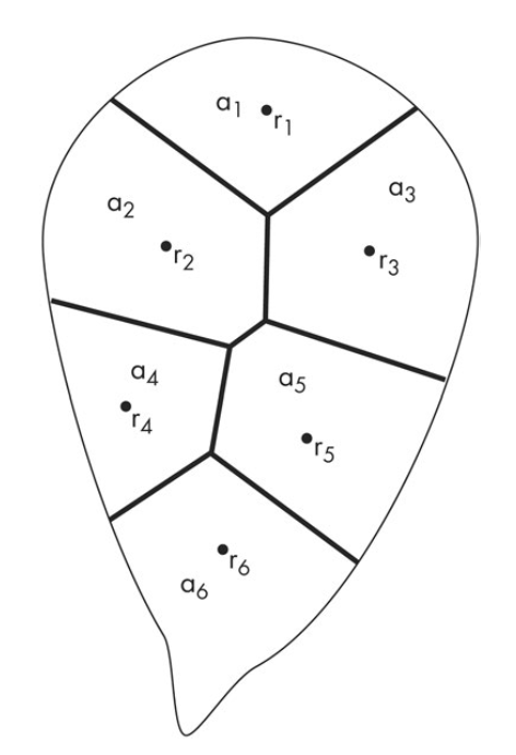 Estimating areal rainfall from point measurements using Thiessen polygons spatialestimation