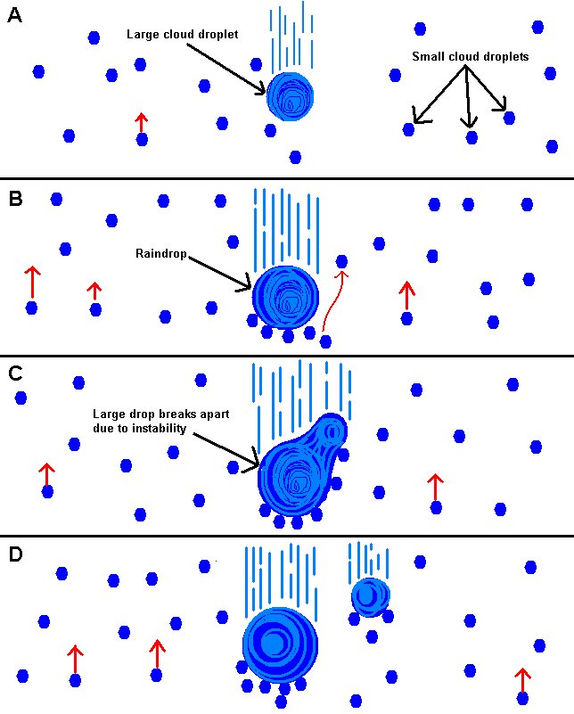 Droplet growth processes Droplet Growth