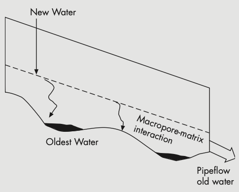 McGlynn et al. (2002) confirmed significant groundwater contributions to streamflow at Maimai, including piston flow and macropore evidence Maimai River