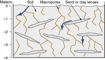 Macropores