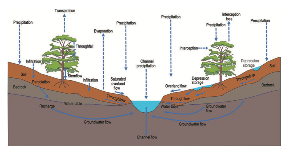 Hydrological cycle processes at the catchment scale catchmentcycle