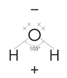 Structure of a water molecule molecule