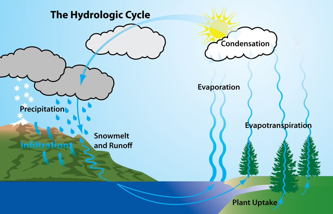 Different elements of the hydrological cycle HydroCycle